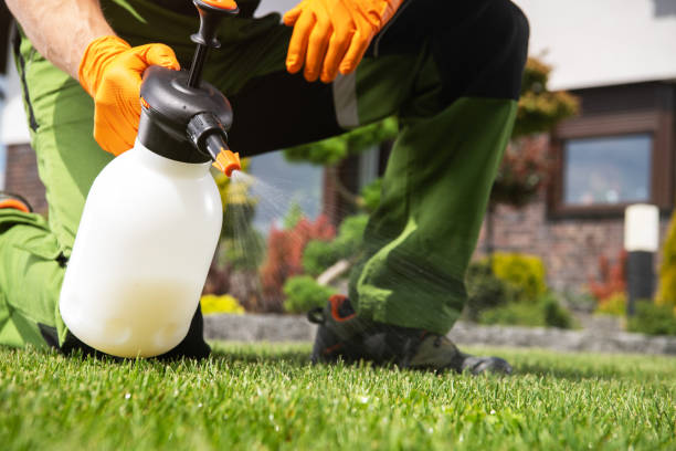 Best Spider Control Near Me  in Far Hills, NJ