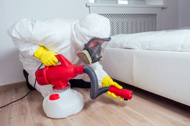Insect Control in Far Hills, NJ