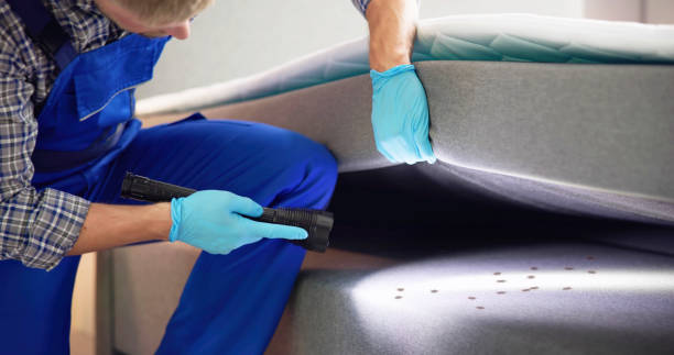 Best Local Pest Control Services  in Far Hills, NJ