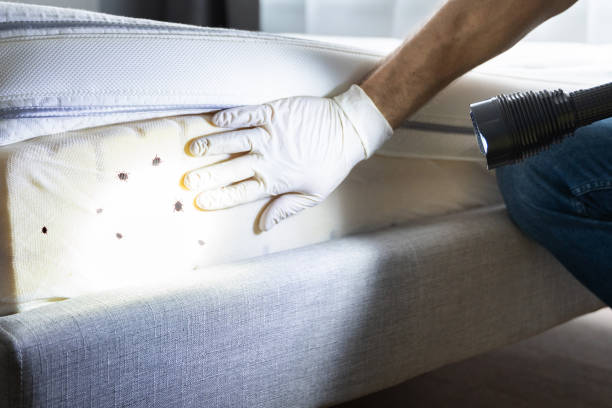 Pest Control Cost in Far Hills, NJ