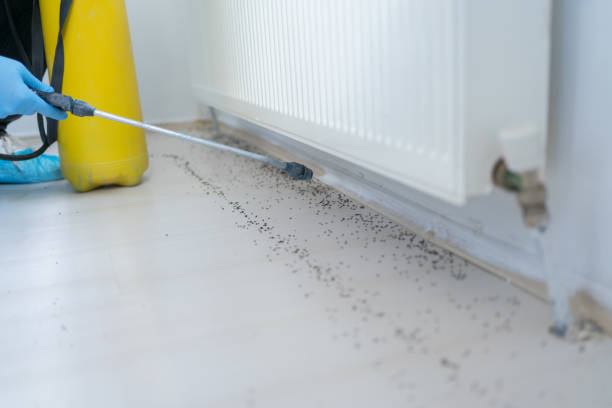 Best Best Pest Control Companies  in Far Hills, NJ