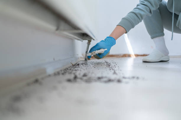 Best Pest Prevention Services  in Far Hills, NJ
